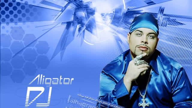 Dj Aligator Project   Fly On The Wings