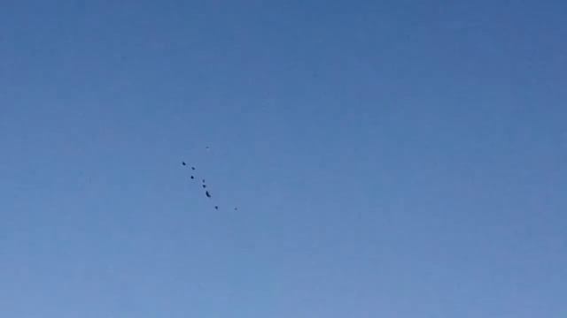 Отправить смотреть онлайн