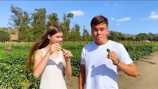 Stacy and Mia Farm Adventure with Pets | Nastya Artem Mia смотреть онлайн