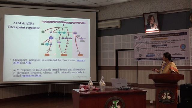 DNA damage response in human biology and diseases ;By: Vibha Tandon смотреть онлайн