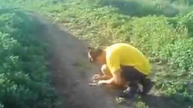 Бомбочка)) смотреть онлайн