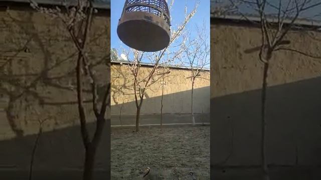 Подписаться ва лайкҳоро фаромӯш накунед. смотреть онлайн