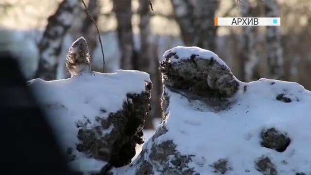 "Отражение дня" 27 марта 2020 смотреть онлайн