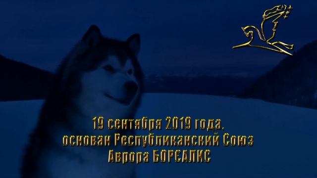Собачки - Аврора Бореалис смотреть онлайн