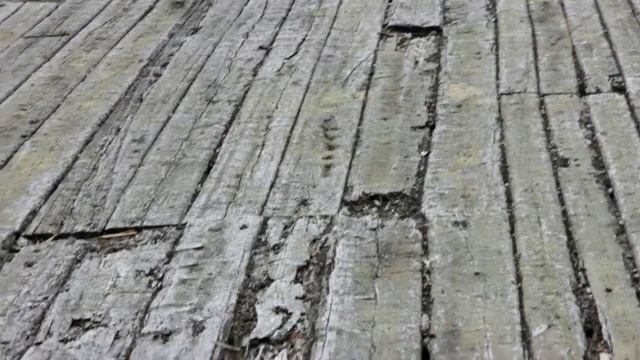 Две птицы на причале смотреть онлайн