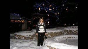 Новогодний корпоратив Страховая компания Провита 2006 год Край Рай