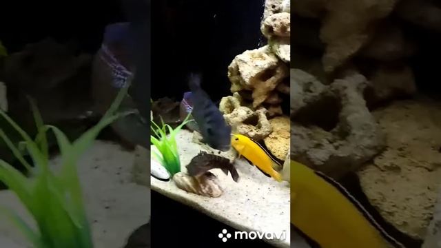 1 января 2022 г. смотреть онлайн