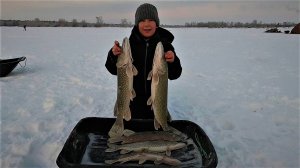 ПЕРВАЯ РЫБАЛКА И ПЕРВЫЕ ТРОФЕИ 2025 ГОДА! МОРОЗНЫЙ, КЛЁВЫЙ ДЕНЬ НА ЯМАЛЬСКОМ ЩУЧЬЕМ ОЗЕРЕ!