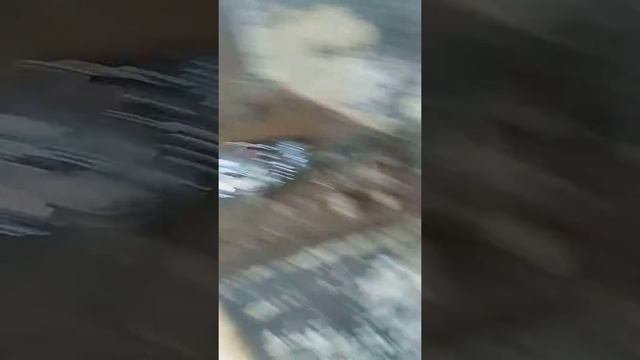 Bouchgraft ravioli. смотреть онлайн