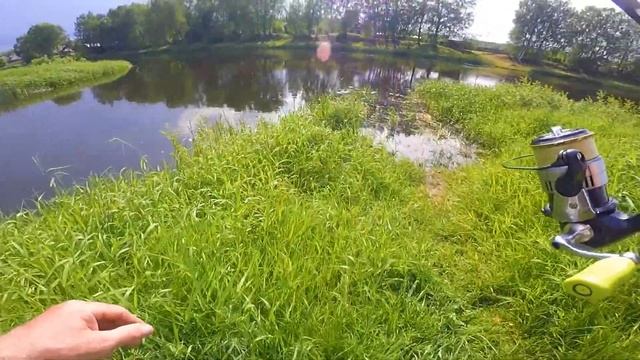 Путешествие за голавлем