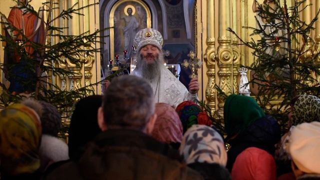 Проповедь митрополита Иоанна в навечерие Крещения Господня, храм Рождества Богородицы с. Семеновка смотреть онлайн