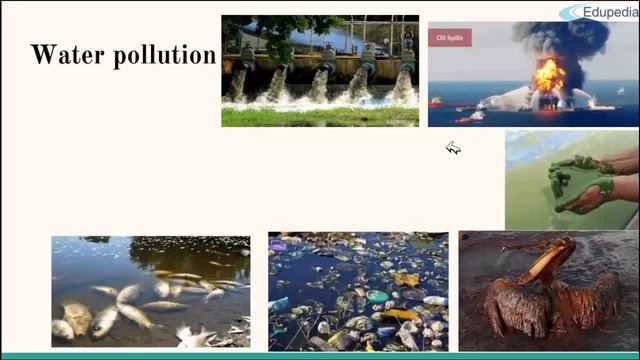 33. Ecology | Ecology of Environmental Pollution I | Air Pollution| Water Pollution | Land Pollutio смотреть онлайн