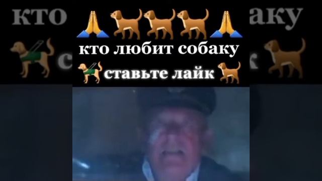 кто любит собаку? ставь лайк смотреть онлайн