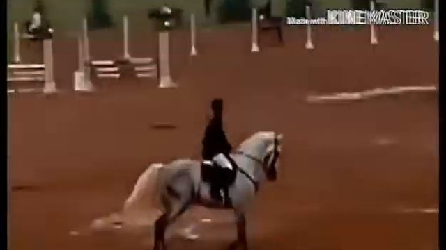 Едим на лошадиные скачки смотреть онлайн