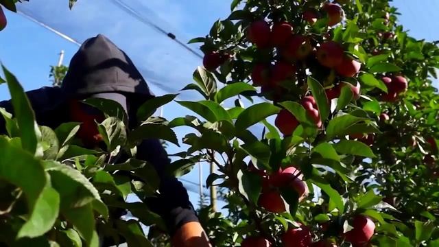 Видеоотчет о новых бизнес направлениях Helix Capital FreeChoice смотреть онлайн