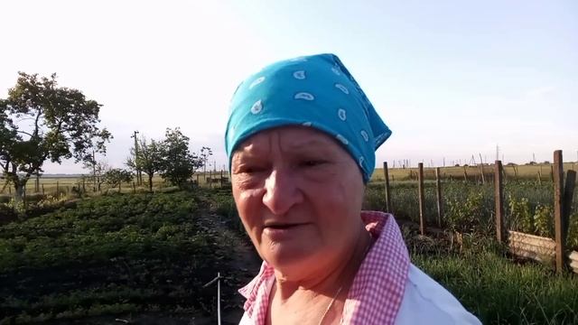 отмечаем день рождения смотреть онлайн