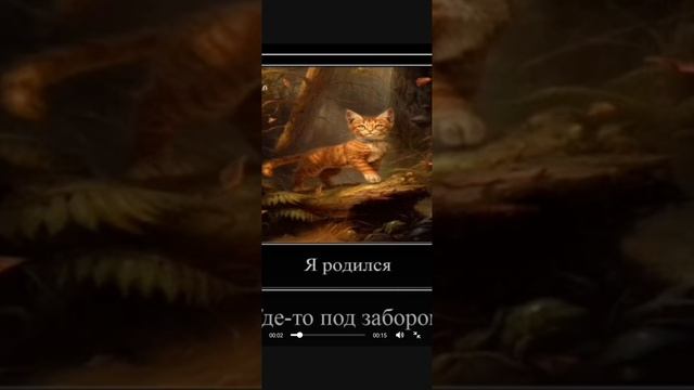 огнезвёзд смотреть онлайн