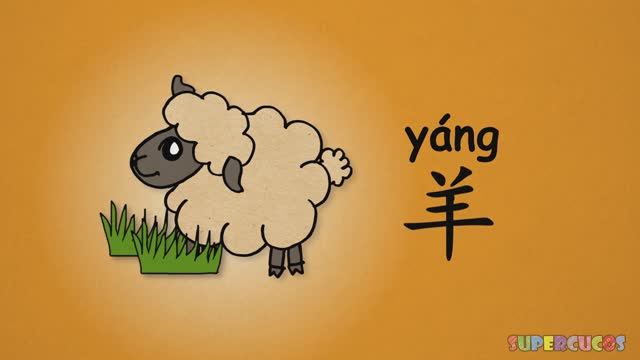Y2mate.com - 学中文动物合辑  Learn Chinese  18 Animals Compilation  Aprender Chino  Recopilación De 18 Anim