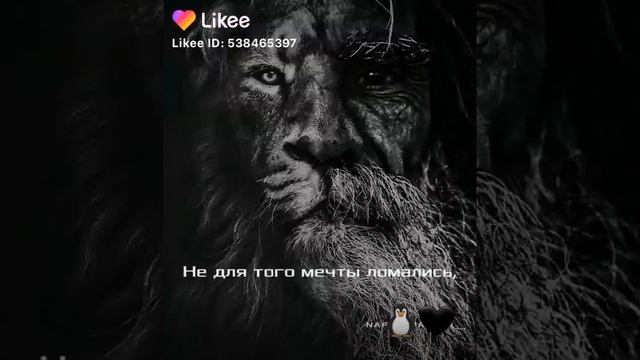 Мудрые слова смотреть онлайн