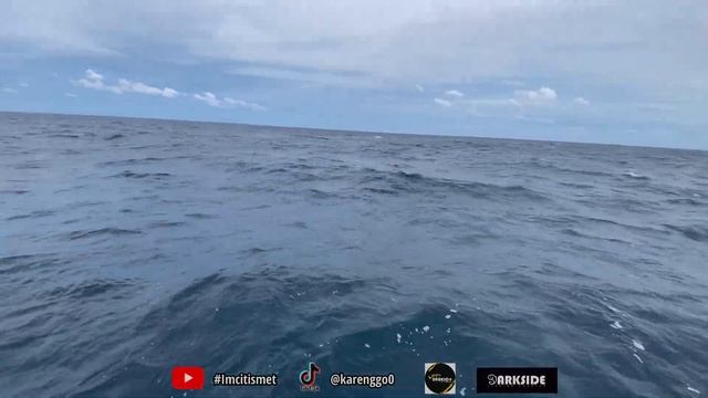 Cobia 12KG+ Mengganas ! Hitam hati kene game dgn Monster Pulau Jarak 🥲 #007 смотреть онлайн