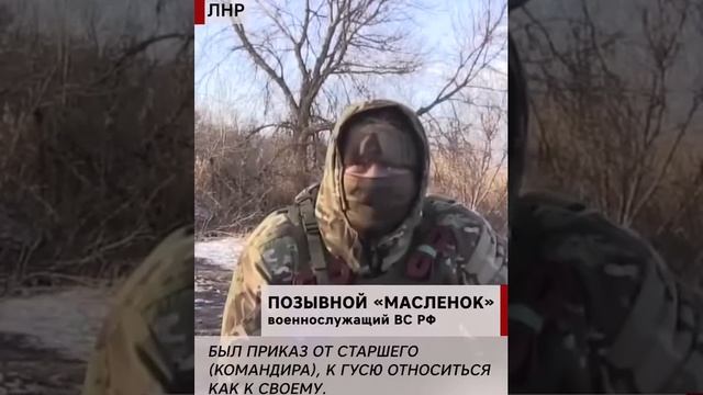 негры кукареку смотреть онлайн