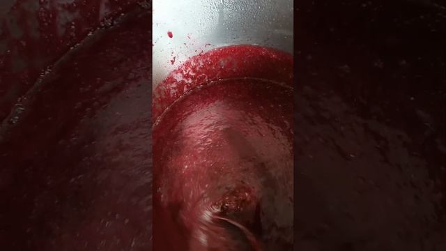 Тёрн на зиму в виде соуса..#рецепт #хештег #еда #keşfet #домашнийвлог #рецепты#консервацияназиму