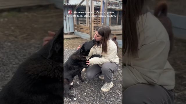 Приезжайте в гости❤ смотреть онлайн