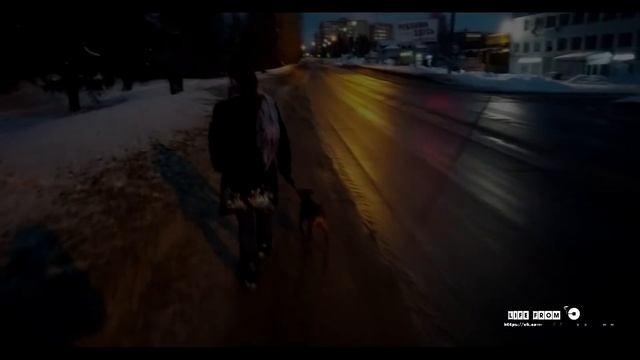 Прогулка по лесу 10.02.2022 часть 3 смотреть онлайн