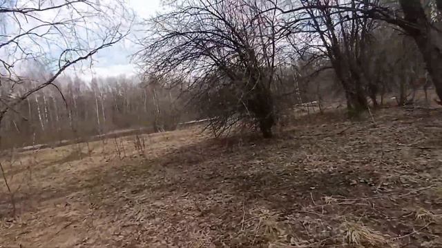 Поход выходного дня. смотреть онлайн