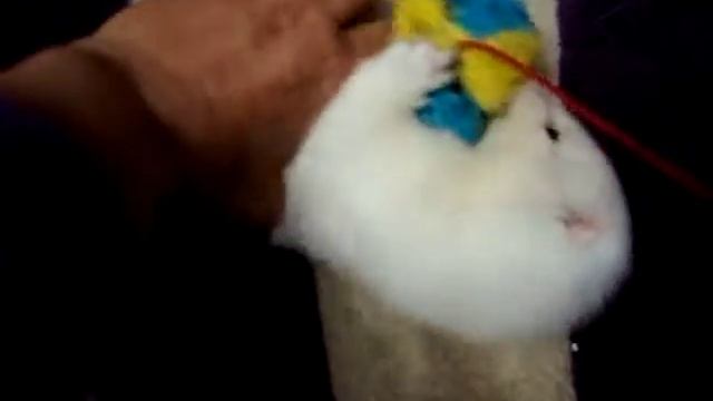 Норки и удочка