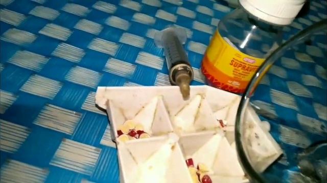 RUTINITAS MERAWAT BINTURONG BORNEO смотреть онлайн