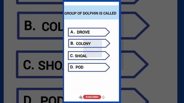 Gk question ||Animal || gk ||gkinenglish||shorts #gk #gkshorts #shorts #generalknowledge смотреть онлайн