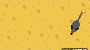 мышка для кошки