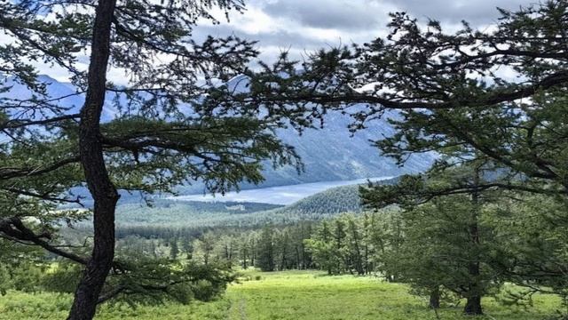 БЕГУТ ПО НЕБУ ОБЛАКА смотреть онлайн