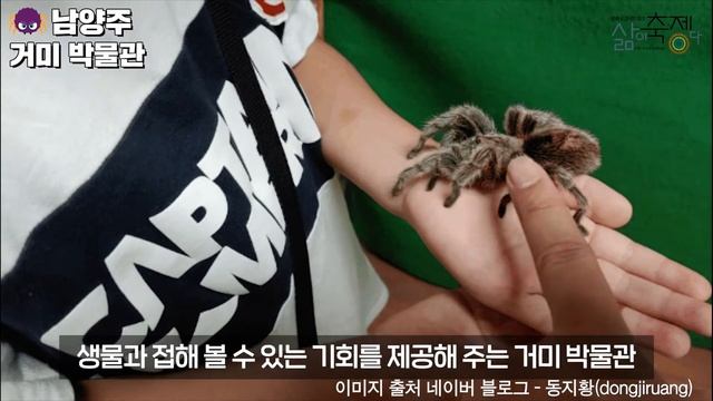 [CC] 우리나라 이색 박물관 TOP 7 | 해우재, 건강과 성 박물관, 러브랜드 등