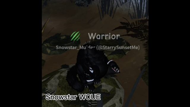 Я и и моё племя в WCUE