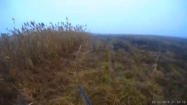 Охота на зайца удалась. смотреть онлайн