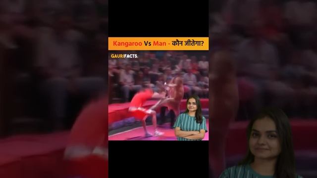 KANGAROO vs HUMAN BOXING #GauriFacts #Shorts смотреть онлайн