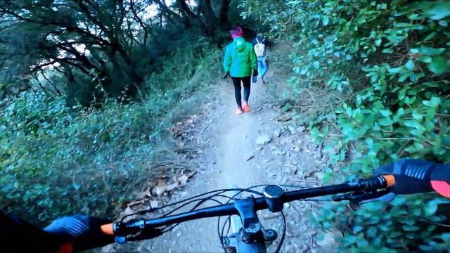 TRIALERA SALAMANDRA / SINGLE TRACK смотреть онлайн