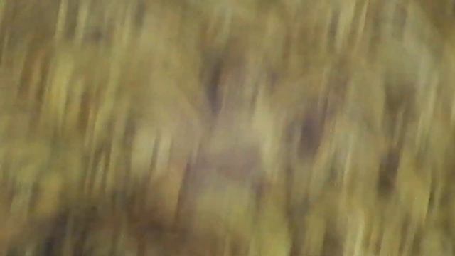 (キイロ）スズメバチ/Vespa simillima の巣(2) 06_231014ガイコツ山 смотреть онлайн