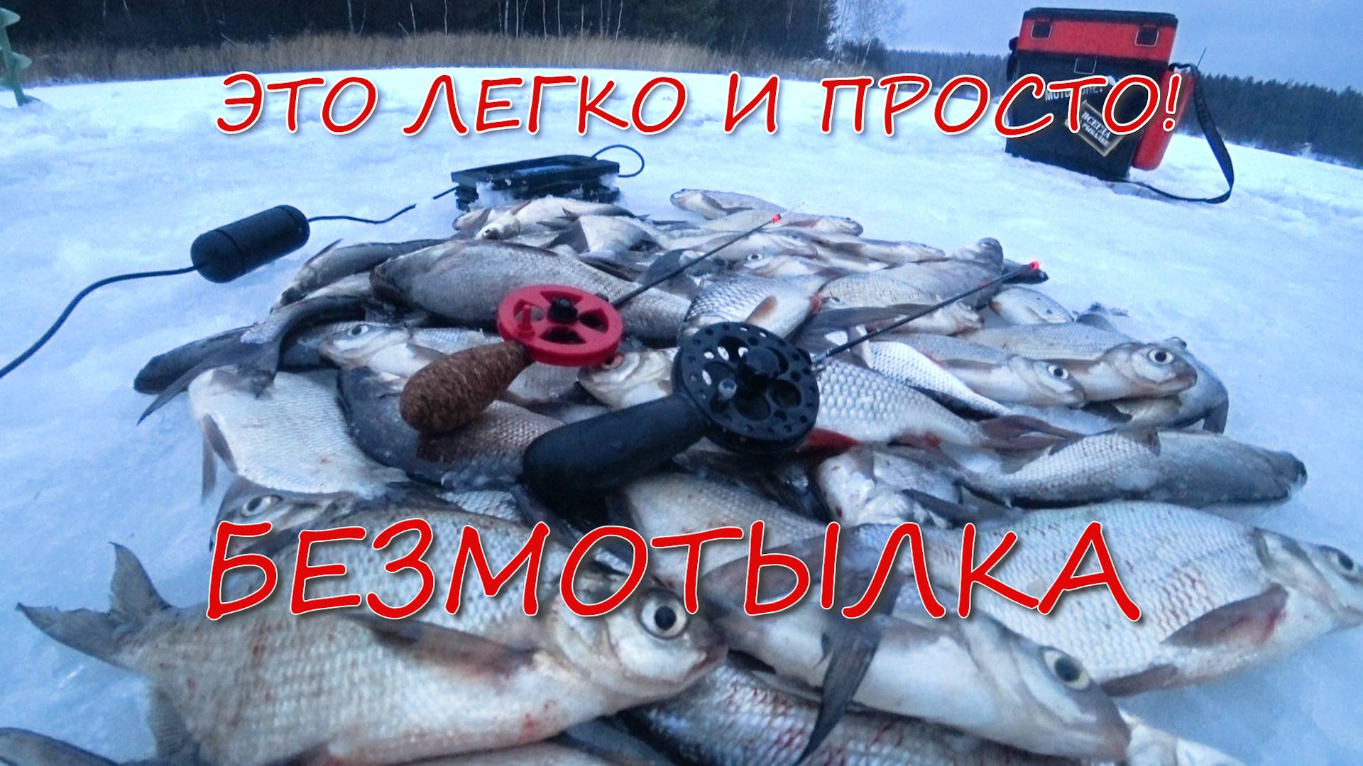 Как начать ловить на БЕЗМОТЫЛКУ! Техника, тактика, основы и тонкости ловли на безмотылку смотреть онлайн