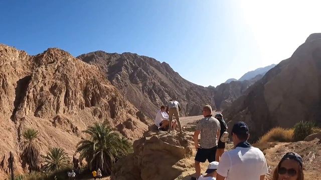 Экскурсия Дахаб | Нас забыли на Ресепшн | Египет ч. 3 смотреть онлайн