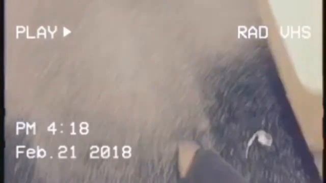 rad vhs app...random. смотреть онлайн
