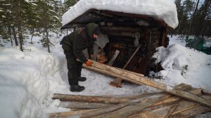 Завёз доски на избу. Кто-то кого-то съел. Рыбалка на окуня.