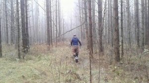 Большой внедорожный мотосамокат  Покатушки в лесу