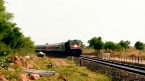 Поезд сбивает животных.