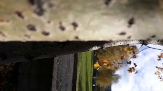 Тагил смотреть онлайн