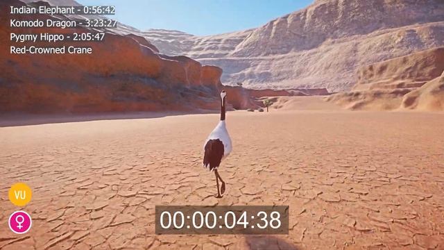 Furless Animals Speed Races in Planet Zoo included Crane, hippo, Dragon, Caiman etc смотреть онлайн