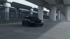 Лисицин skit. Михаил Круг - Синие - Синие