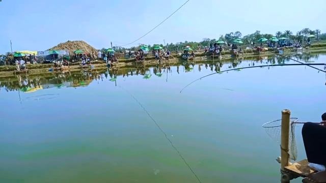 Organize a fishing trip with friends on the weekend ol смотреть онлайн